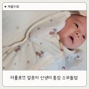 콩이 | 스와들 추천, 마롤로뜨 말콩이 신생아 통잠 스와들업 속싸개 후기