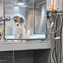 송도동물병원 이미지