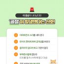 맘스동물의료센터 이미지