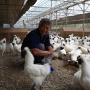 응암농장 이미지