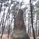 팔봉중학교 이미지