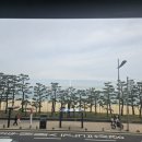 정관장경기 - 파주시 미래로 610 | 부산 사직실내체육관 정관장 vs KCC경기 직관 후기
