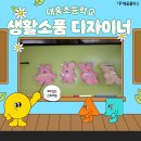 대홍초등학교 이미지