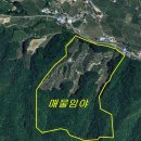 경북 문경시 지방도로변 353,720m2 임야 이미지