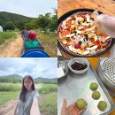 경기도 양평군 사랑나무어린이집 | 양평 가볼만한곳, 아이들과 즐기기 좋은 수미마을 숲체험