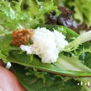 정통쌈밥 이미지