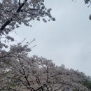 봉명1리 이미지