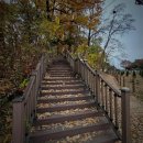 치악산둘레길 1코스 꽃밭머리길 | 치악산 둘레길 1코스 꽃밭머리길 , 매지저수지