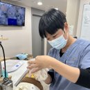 고려종합동물병원 이미지