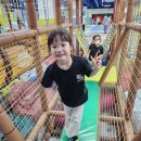 남정초등학교 | 창원중앙태권도, 창원 최고 키즈카페 잭슨나인스 다녀왔어요