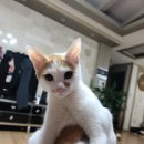 88수도공사