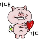 안경진정성 화정점 이미지