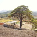 죽바위 이미지