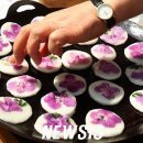 화전 Daum카페