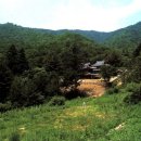 평창 오대산 사고 이미지