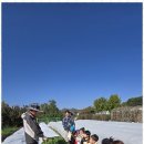 행복한도담어린이집 이미지