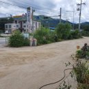 양구밥상 이미지