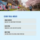 전주의봄 이미지