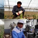 화자농장 이미지