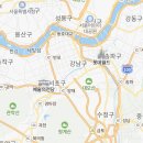 스타일독앤캣 강아지고양이 경기광주점 이미지