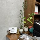 동광로39길 68 이미지