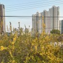 이재락자동차병원 이미지