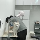 무브멍트 이미지