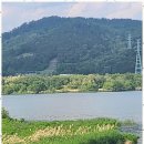 나랑 행정사사무소 이미지