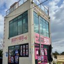 (주)펫투데이 | 울산 간절곶 애견동반 오션뷰 맛집 마실감 바다 보며 즐기는 생면파스타