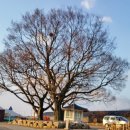 옛고을 회관 이미지