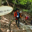 달마고도 이미지