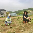 이승수농장 네이버블로그
