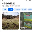 (주)우애 | 제주 동쪽 여행코스 여름의정 웨이팅 애재 토마틀 우애 실패 후기