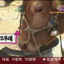 코뚜레 - 북구 신답1길 9 | 코뚜레