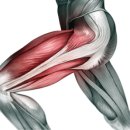 스피나 핏 앤 필라테스 이미지