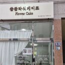 쏠케이크 이미지