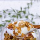 16 | 무설탕 수제 그레놀라 16빙수 솔직 후기