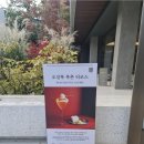 달빛하루 이미지