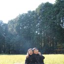 외도한스테이 이미지