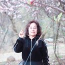 현산로 이미지