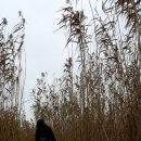 하단동032 이미지