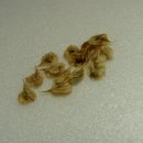 상식농장 이미지