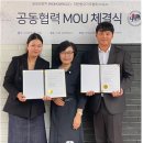 모모브릿지
