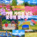 남도전기(주) | 자라섬 꽃정원 꽃축제 남도 꽃 페스타 수국 명소 수상...기간 입장료 주차장 애견동반 가능 실시간 후기