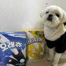 포유덴탈 이미지