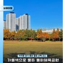 율하유적전시관 광장앞 | 아이랑 걷기 좋은 힐링 산책코스 - 가을색으로 물든 '율하체육공원'