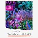 라원 | 경주 가볼만한곳 신상 핫플 제2동궁원 미디어아트 식물원 라원 방문 후기