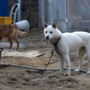 사기막 농장 이미지