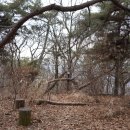 법원2리 이미지