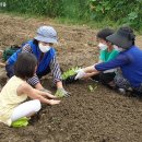 서울농자재 이미지